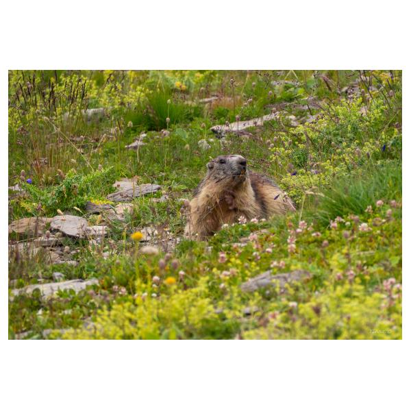 PHOTO84, CLUB, 84 , LUBERON